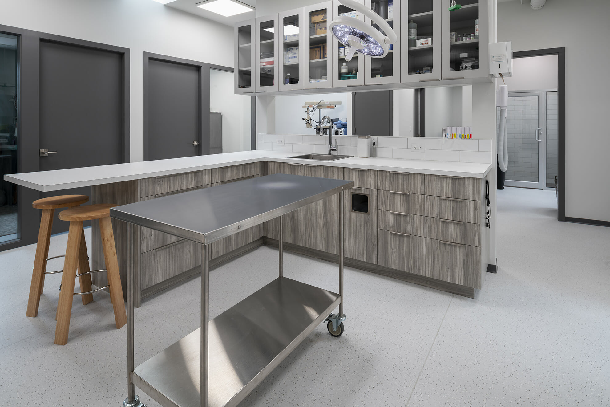 OKANAGAN ANIMAL EYE CARE CLINIC Chriscan Construction™