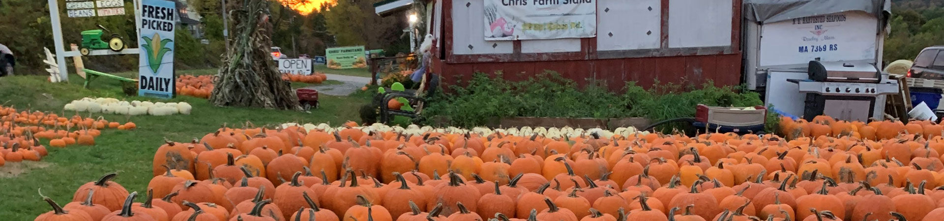 somersworth nh pumpkin festival 2023 Pumpkin Patch Fall Festival in Haverhill MA Chris' Farm Stand