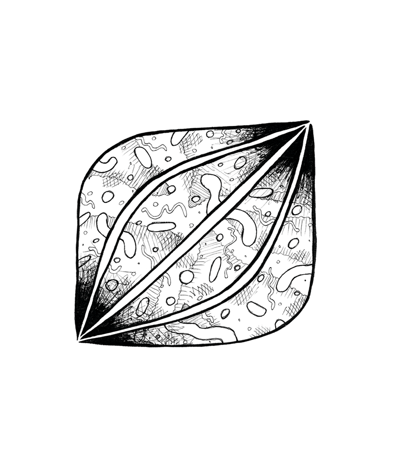 Pulsating Pattern Chris Kent Art Pulsating Pattern Chris Kent Art