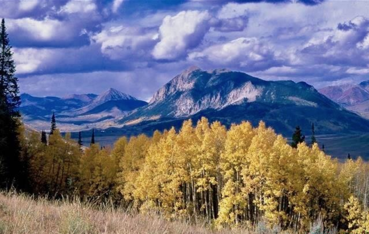 1742 Red Mountain Ranch Road Crested Butte Homesite For Sale Crested