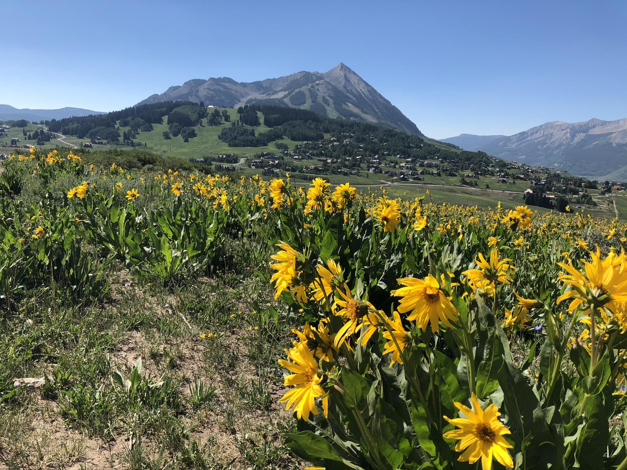 Will My Crested Butte Home Sell? Crested Butte Real Estate Chris Kopf