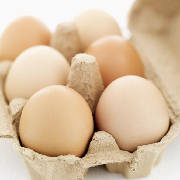 Choline and TMAO Eggs Still Don't Cause Heart Disease