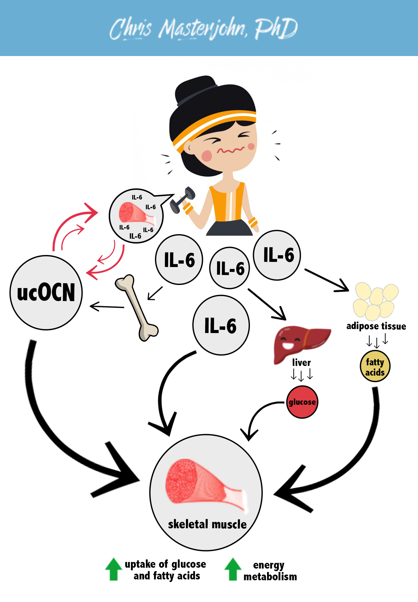 The Ultimate Vitamin K2 Resource