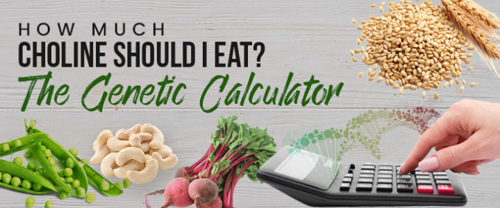 How Much Choline Should I Eat? The Calculator