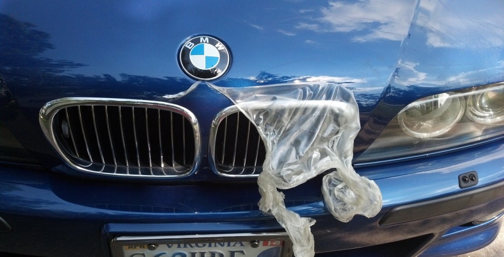 Clear Bra Removal on My E39 M5