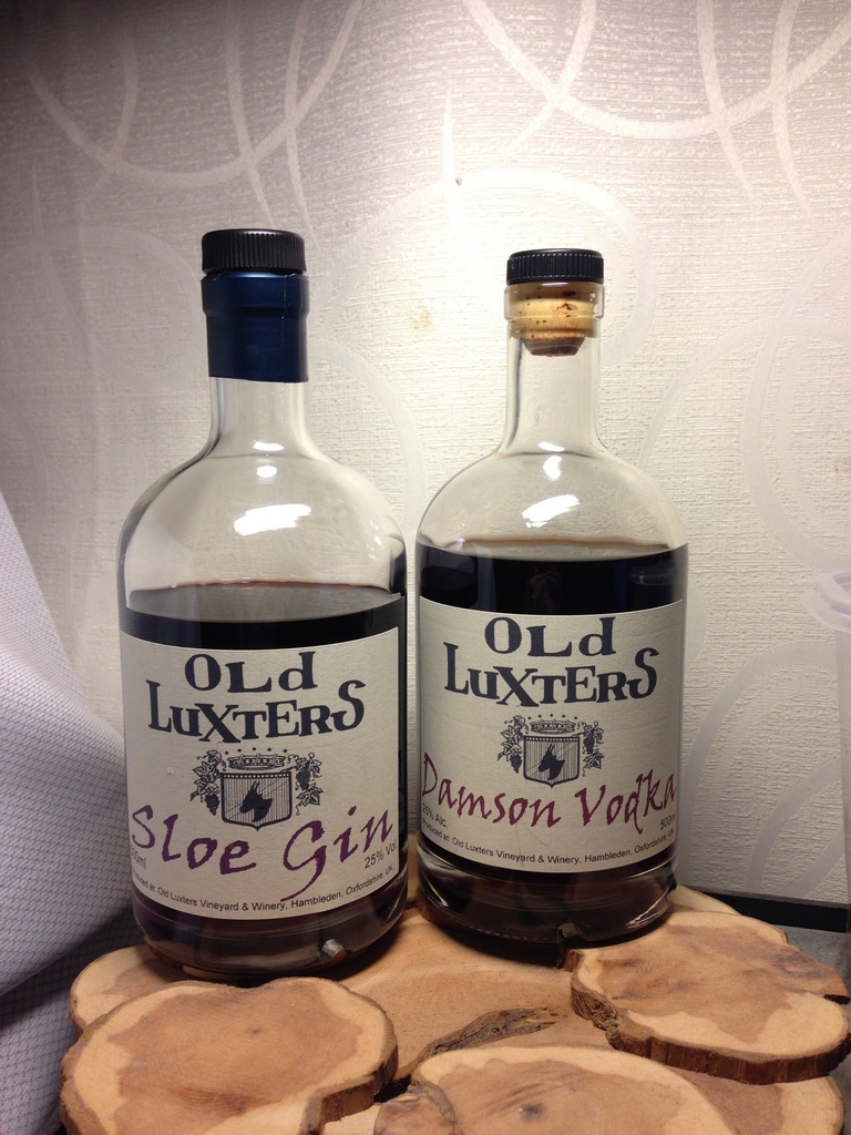 Review of commercial sloe gins ChrisR