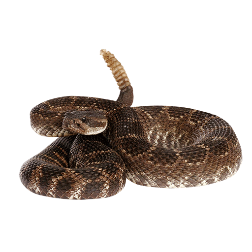 Animated Sprites Chris Setzler