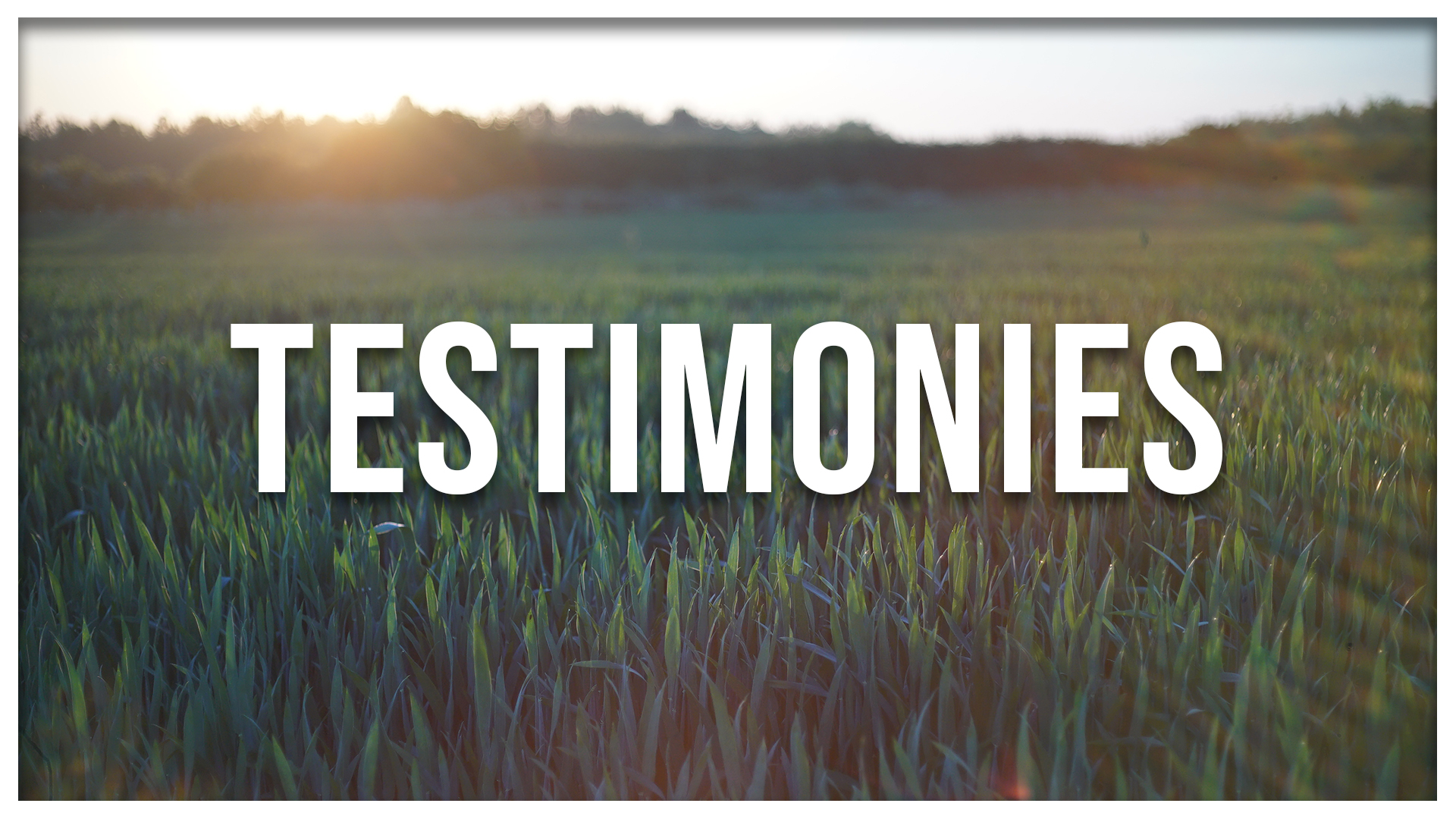 to Christ Church Dunstable Online