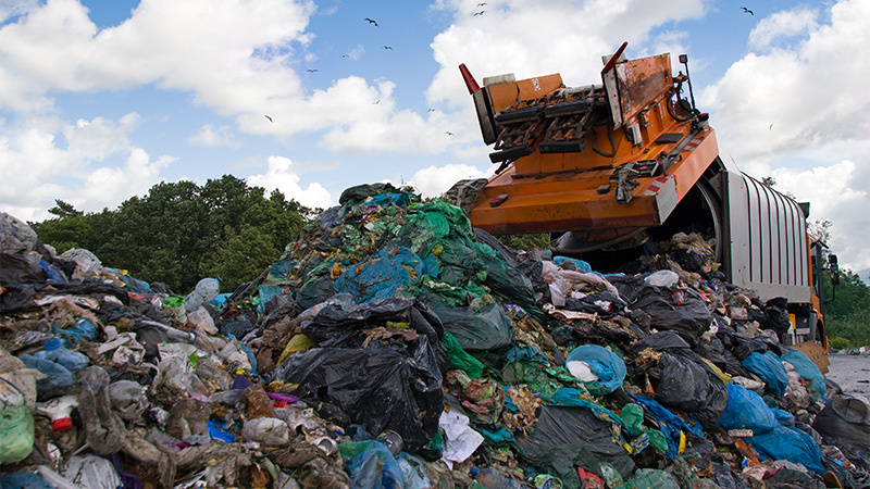 How to Avoid the Info Dump