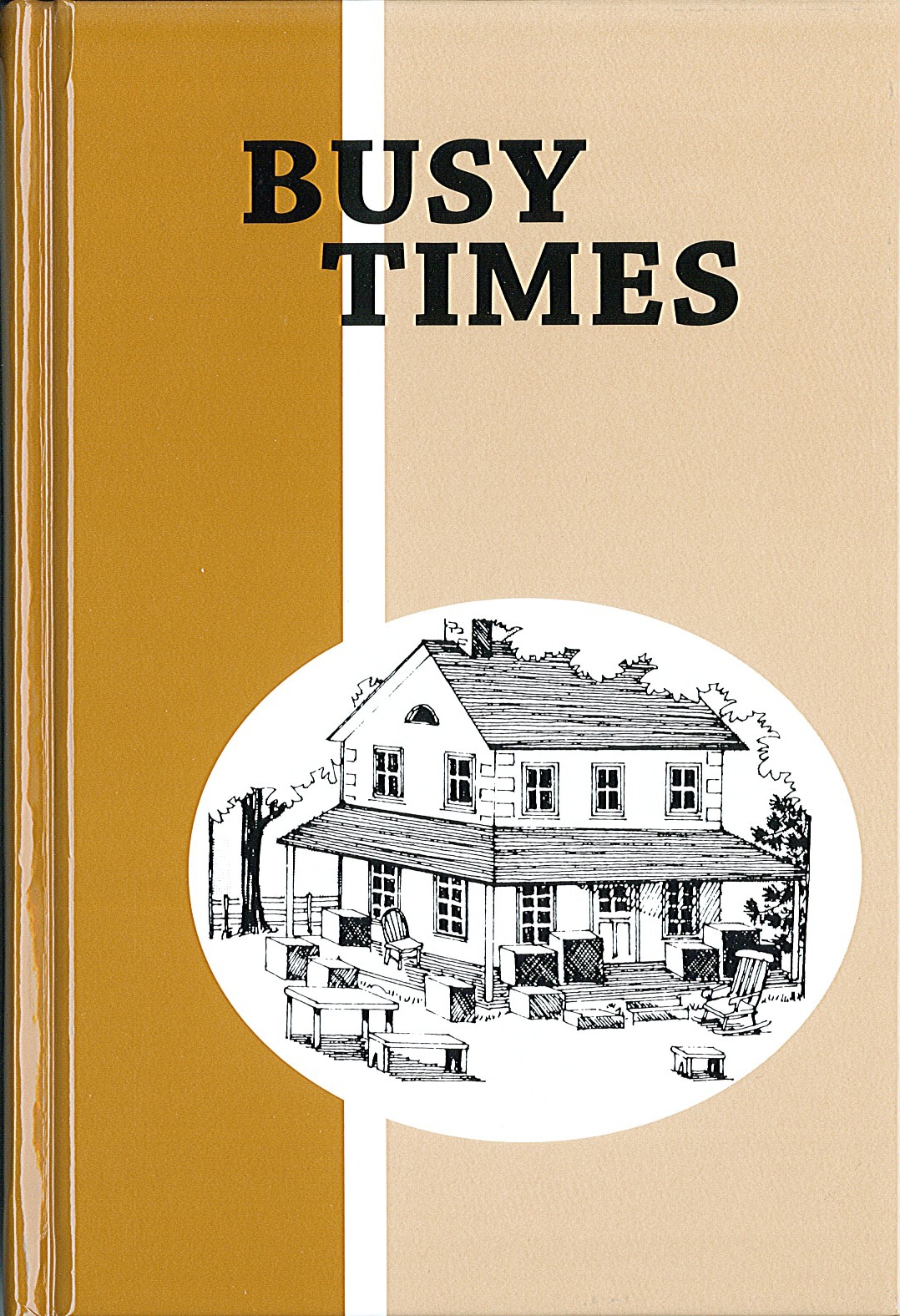 Busy Times Pathway Reading Series, Grade 2