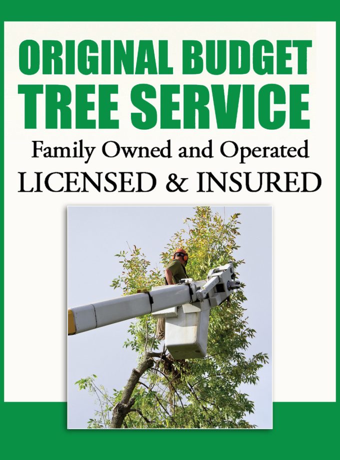 Original Budget Tree Service Christian Business Directory