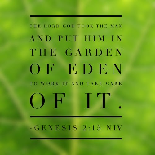 24 Bible Verses For Business Owners (FREE PDF)