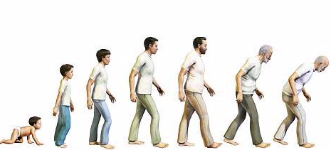 Why Do We Grow Old And Die Christian Publishing House Blog