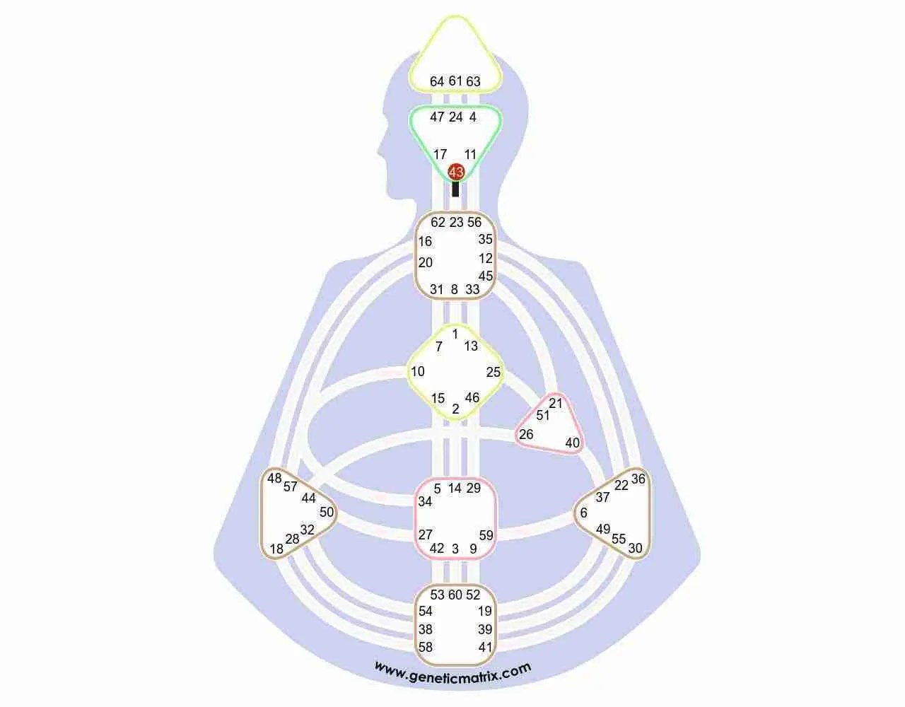 Human Design Gate 43 The Gate of Insight Gene Key 43