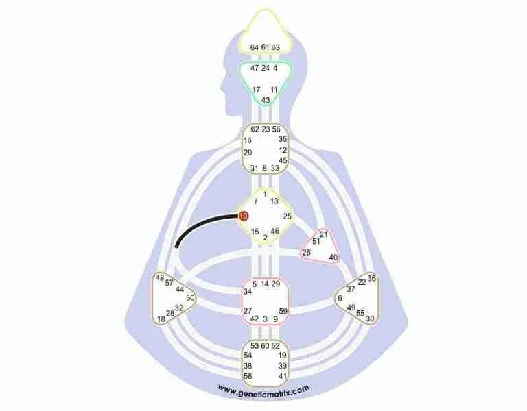 Human Design Gate 10 The Gate of Behavior of the Self Gene Key 10