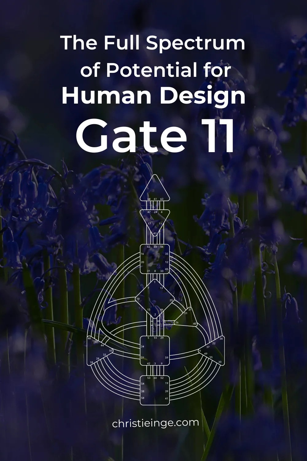 Human Design Gate 11 The Gate of Ideas Gene Key 11