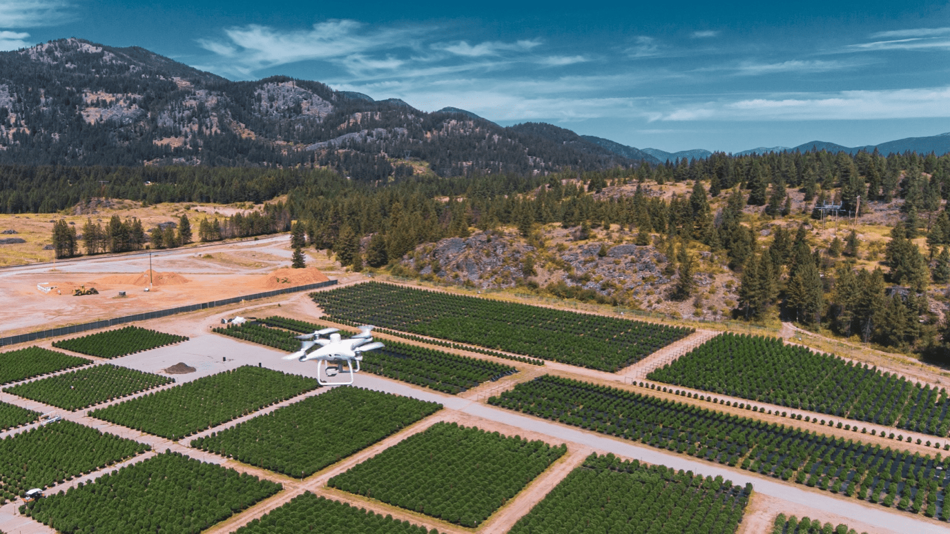 Christina Lake Cannabis Nears Completion of its Third Outdoor Grow
