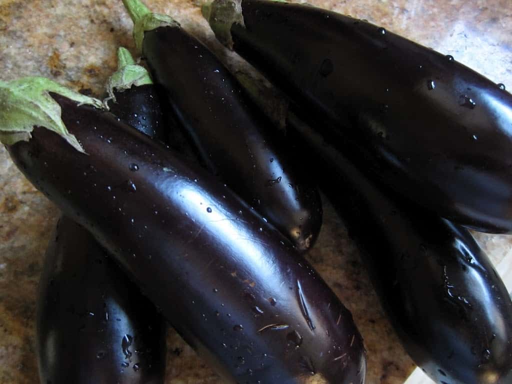 Pickled Eggplant (Pickled Aubergines) Christina's Cucina