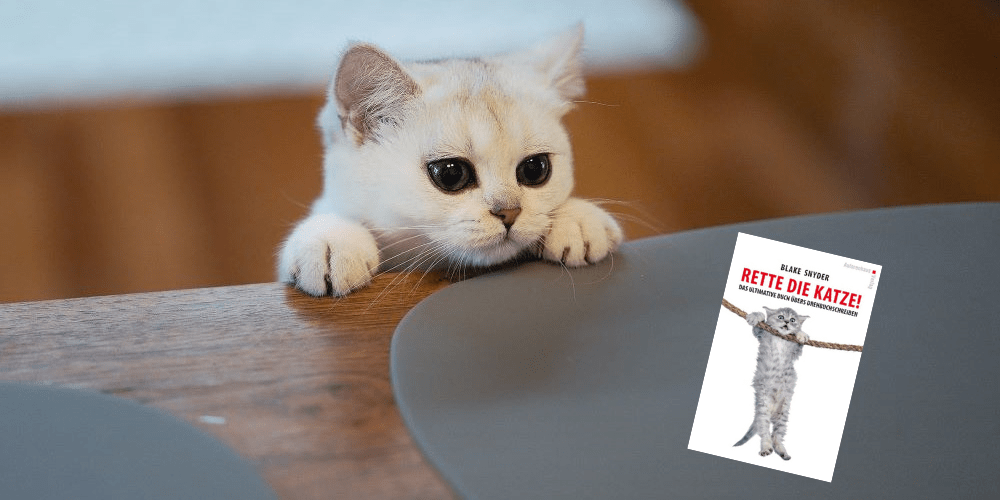 Rette die Katze! Schreibrezepte aus Hollywood Christine Kämmer