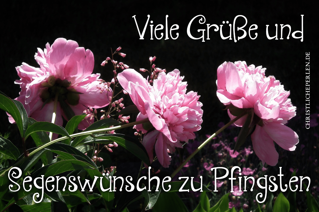 Pfingsten | Christliche Perlen 720_x_1080_png