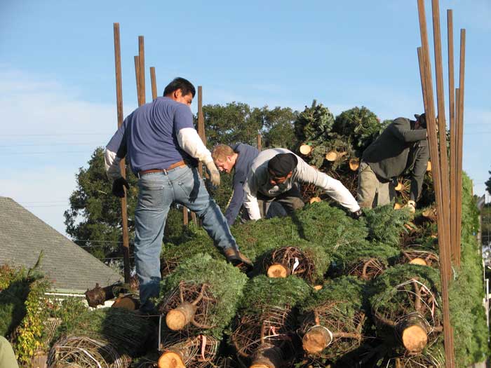 Little Hills Farm at Liberty Road 94952 Petaluma 241 Liberty Road