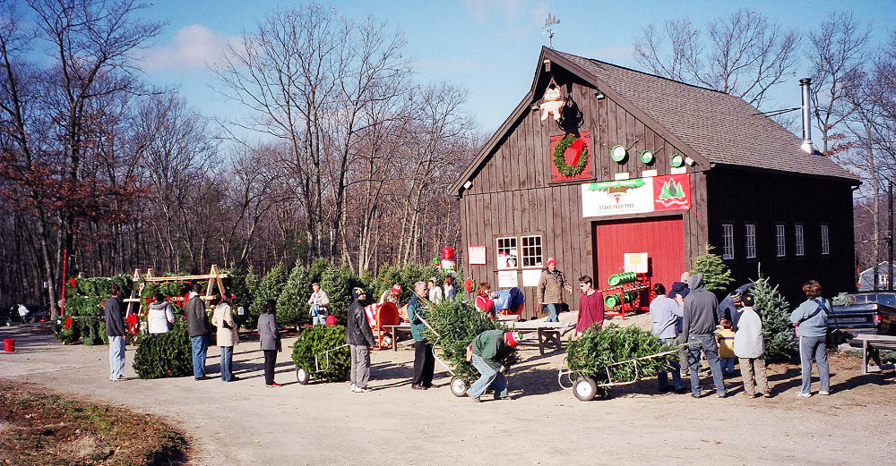 MCTA Member Photos Massachusetts Christmas Tree Association