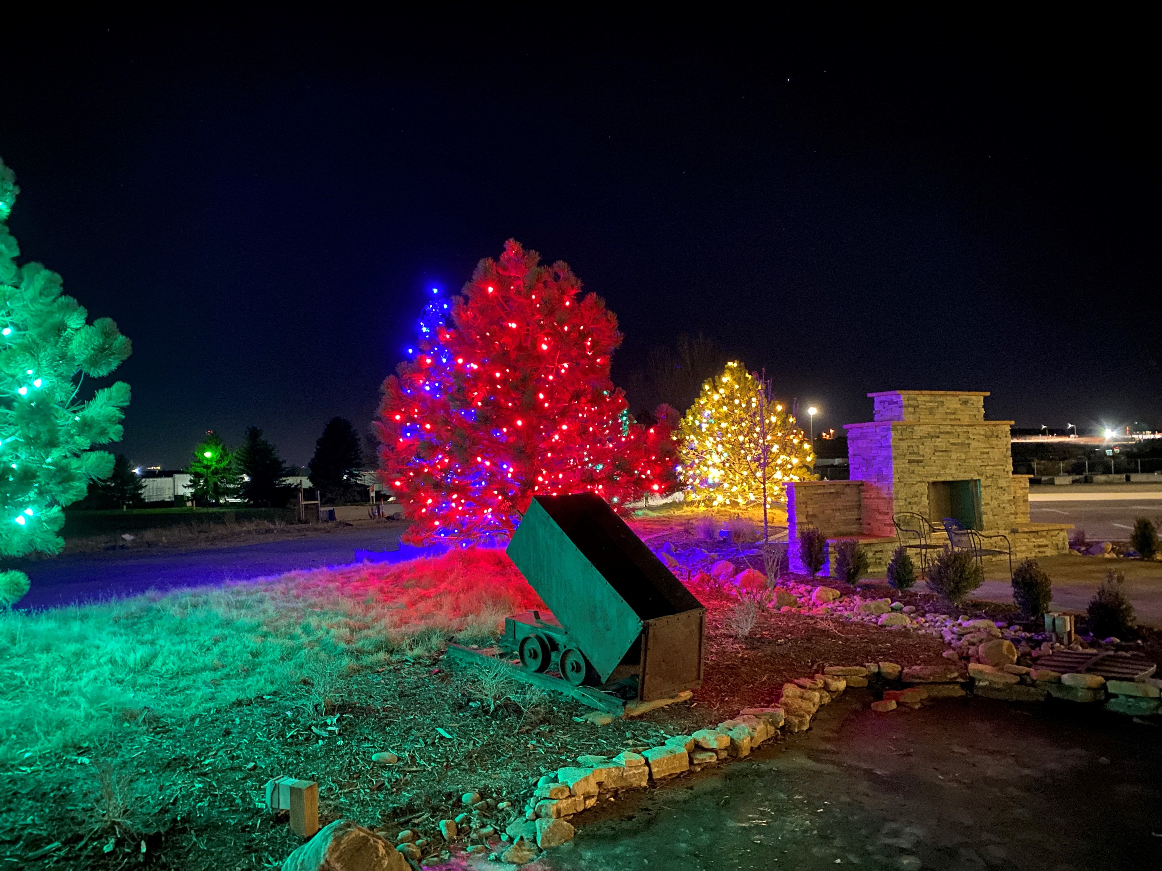 Outdoor Tree Lighting, Wrapped Tree Light Professionals