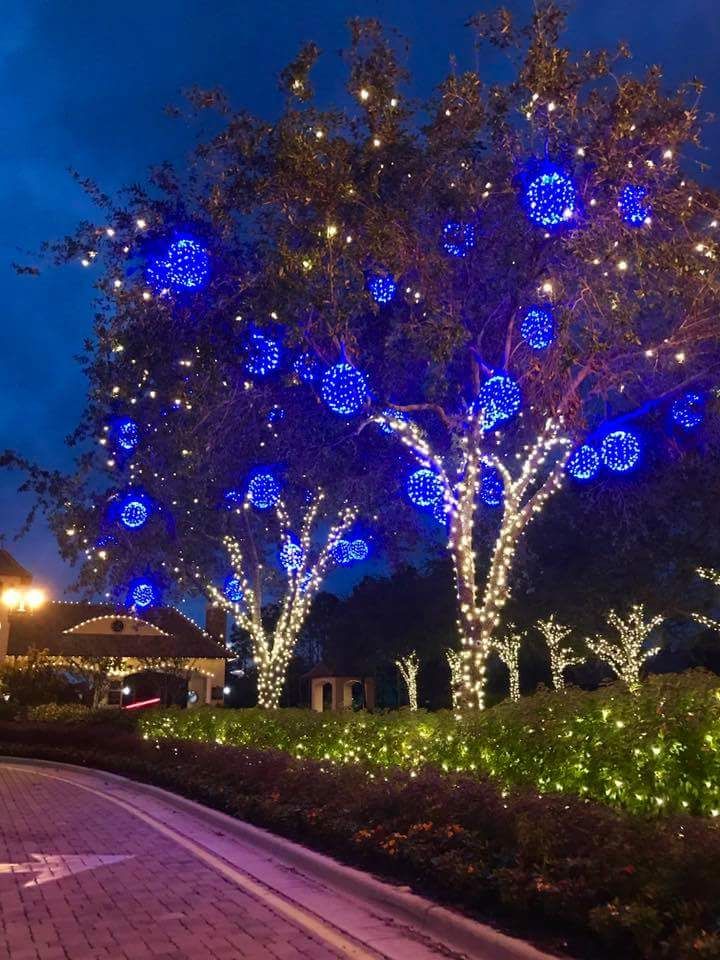 Outdoor Tree Lighting, Wrapped Tree Light Professionals