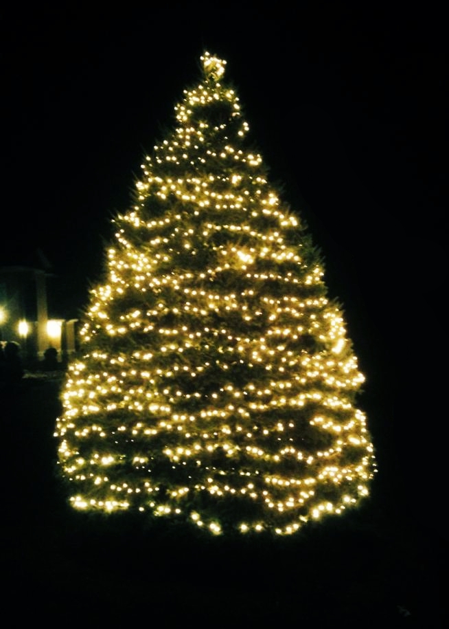 Gallery Christmas Light Installers LLC