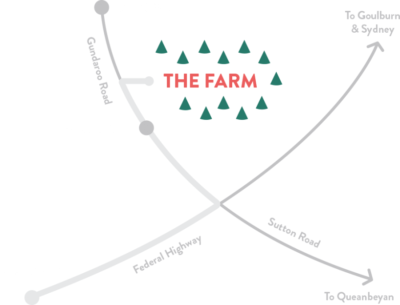 Santa's Shaped Christmas Tree Farm Real Christmas Trees in the