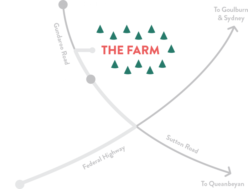 Santa's Shaped Christmas Tree Farm Real Christmas Trees in the