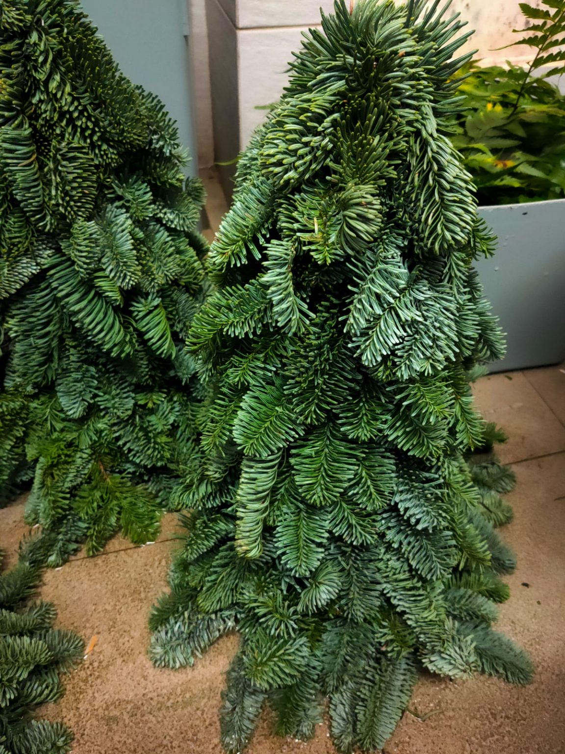 Christmas Tree Singapore Artificial Christmas Tree Delivery in Singapore