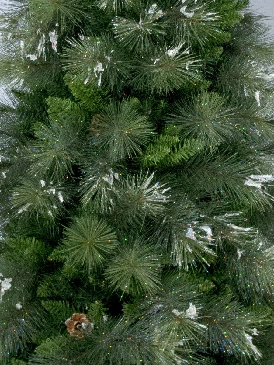 Siberian Cedar Pine Christmas Tree 2.3m Christmas Trees The