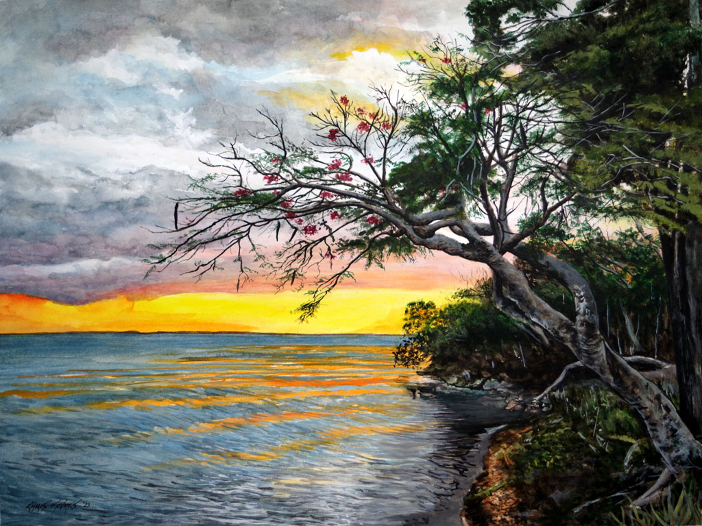 New painting "Poinciana Sunset" Chris Kovacs Fine Art