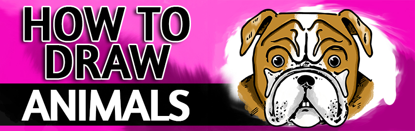 How To Draw Animals Cartoon Style Christy Studios