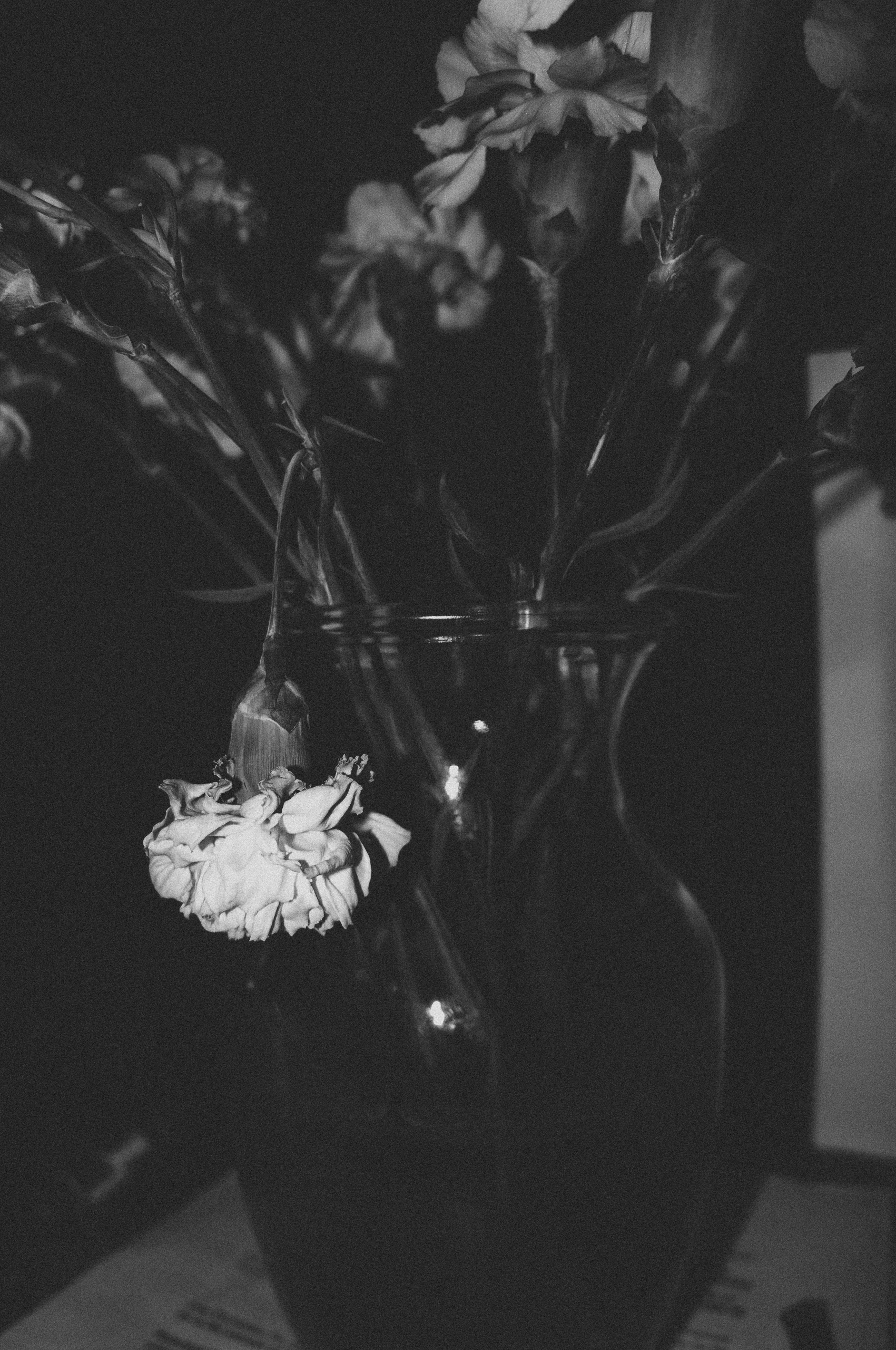 Why Black and White Photography Matters. Chromaclick