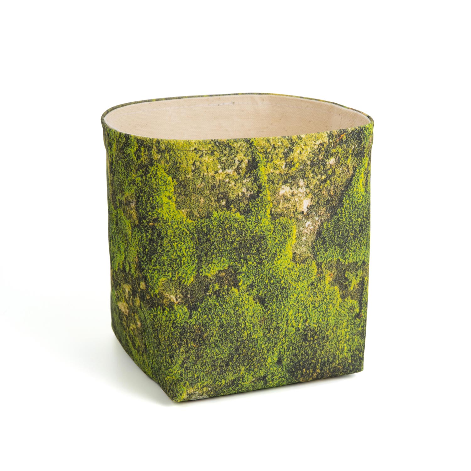 Moss Planter Chromatica Home