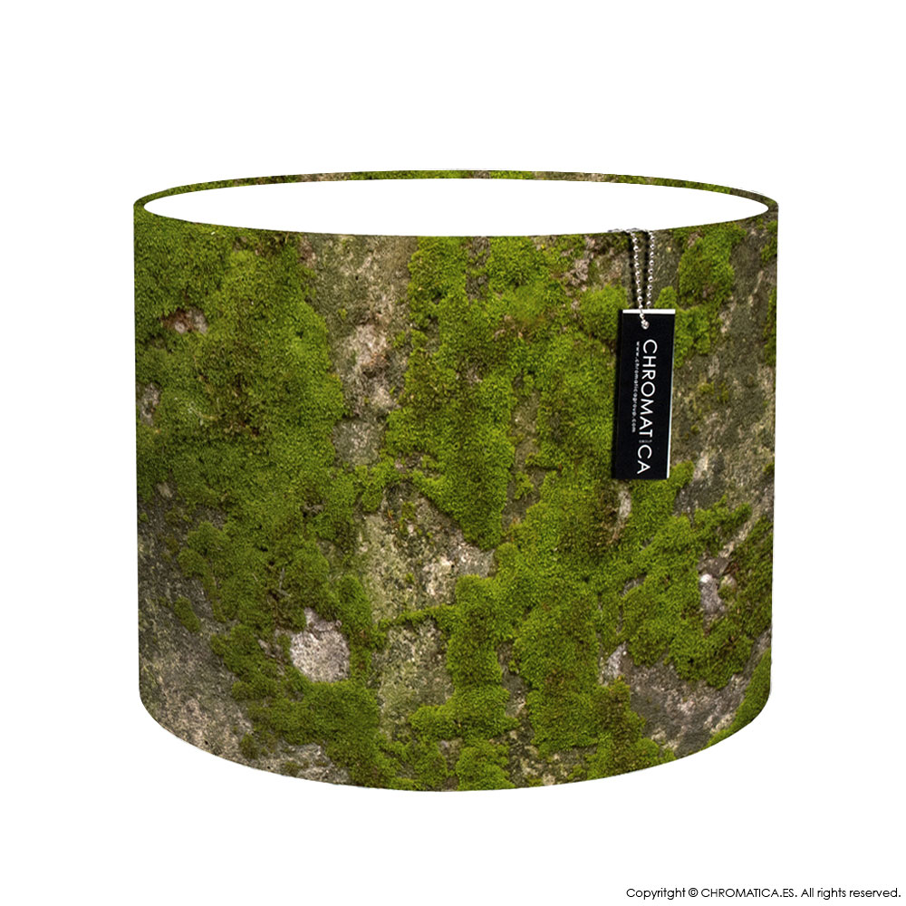 Moss Lamp Shade Chromatica Home