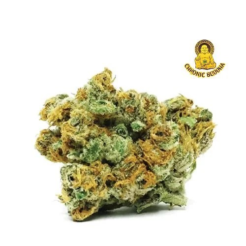 Jet Fuel OG Chronic Buddha