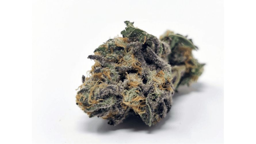 4 Terpenes Make a Jet Fuel Gelato The Most Memorable High