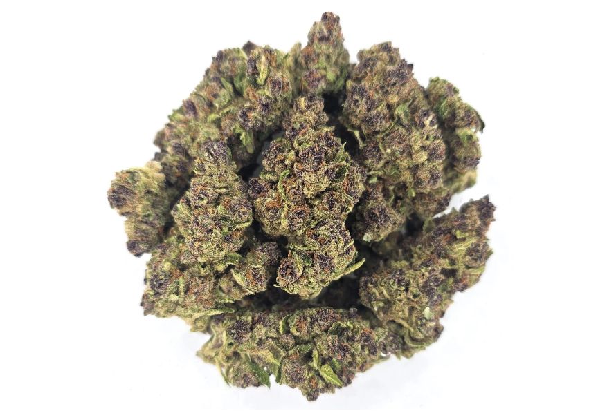 Savor the Flavour Lemon Cookies Strain Explained