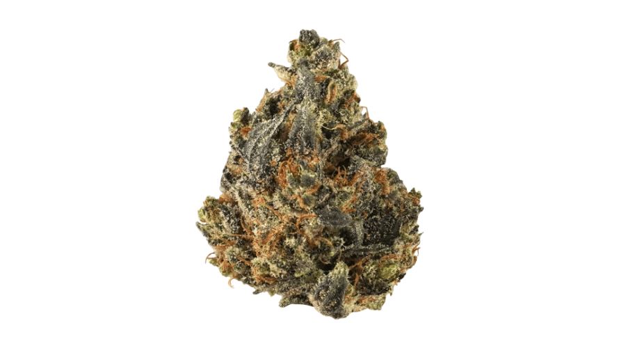 Savor the Flavour Lemon Cookies Strain Explained