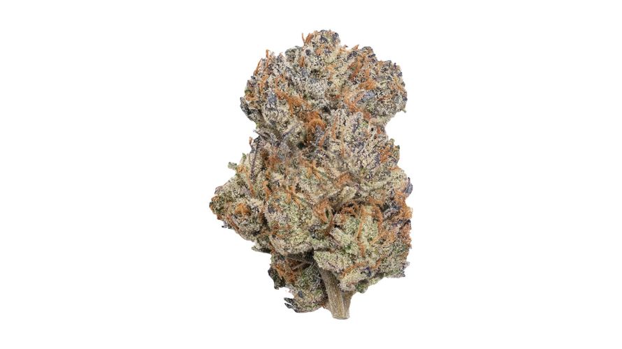 What Makes The Permanent Marker Strain Stand Out