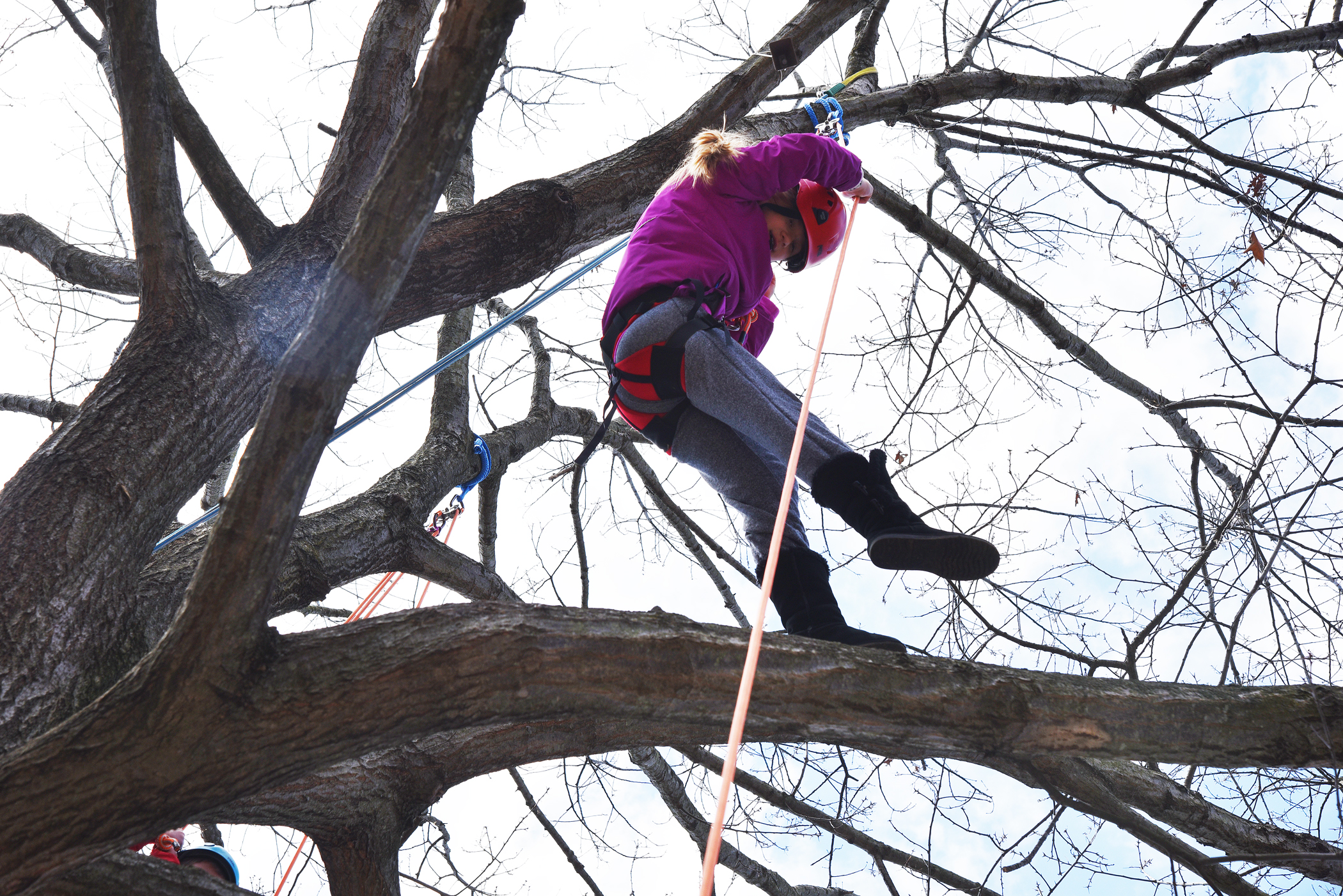 Sweet way to spring at Maple Syrup Festival in Northbrook Chronicle Media