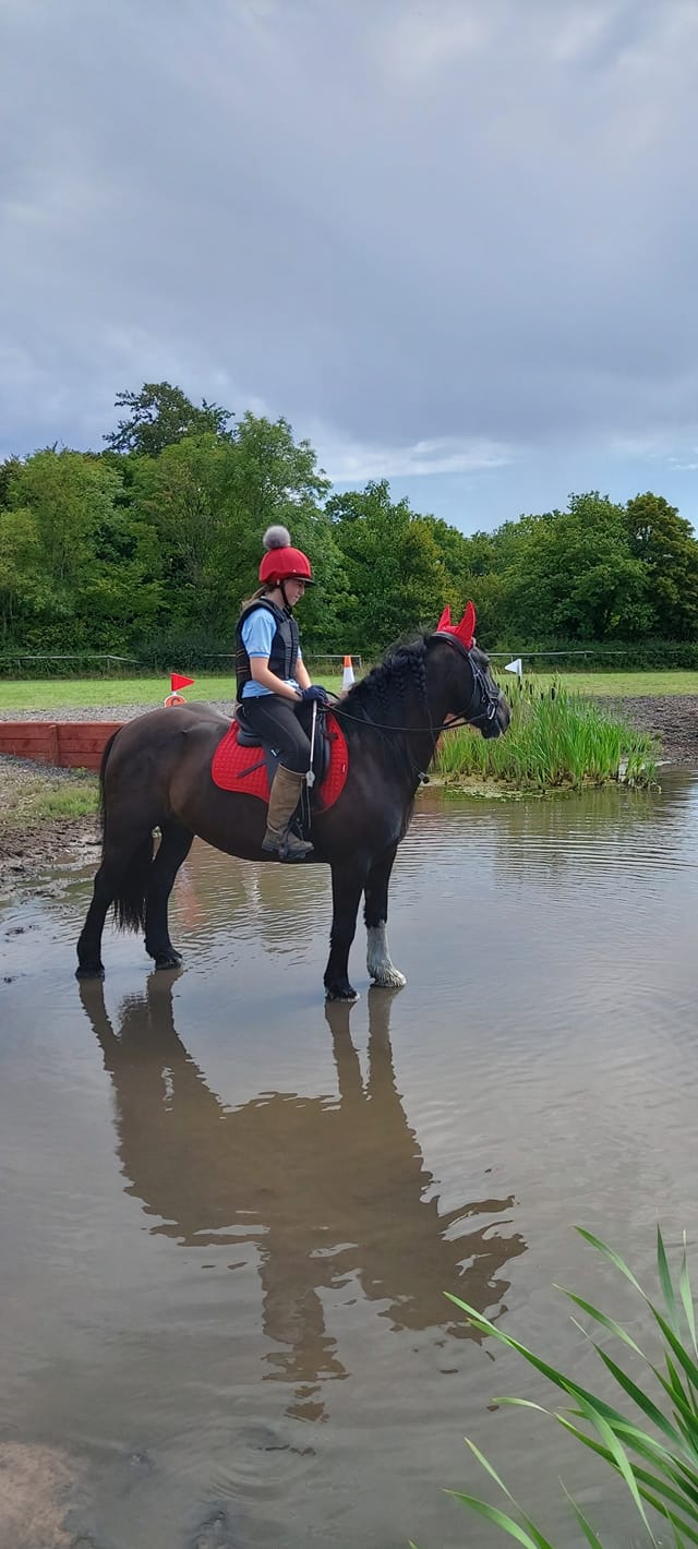 CPL Horses in Action Chronic Progressive Lymphoedema