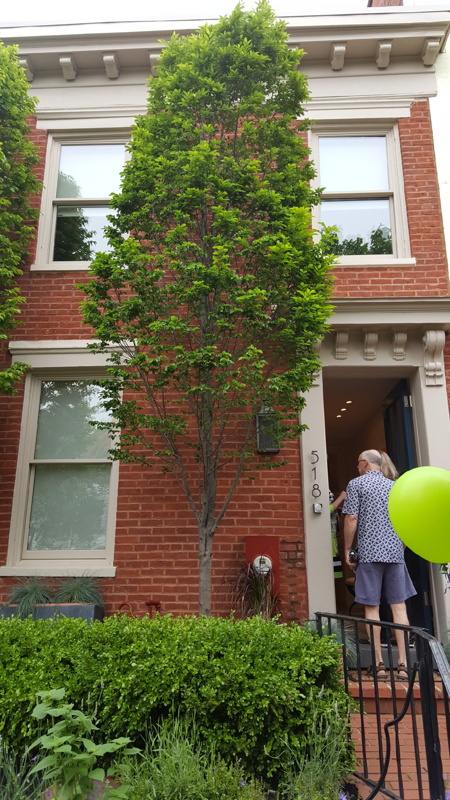 Capitol Hill Restoration Society » House Tour 2018 Photos