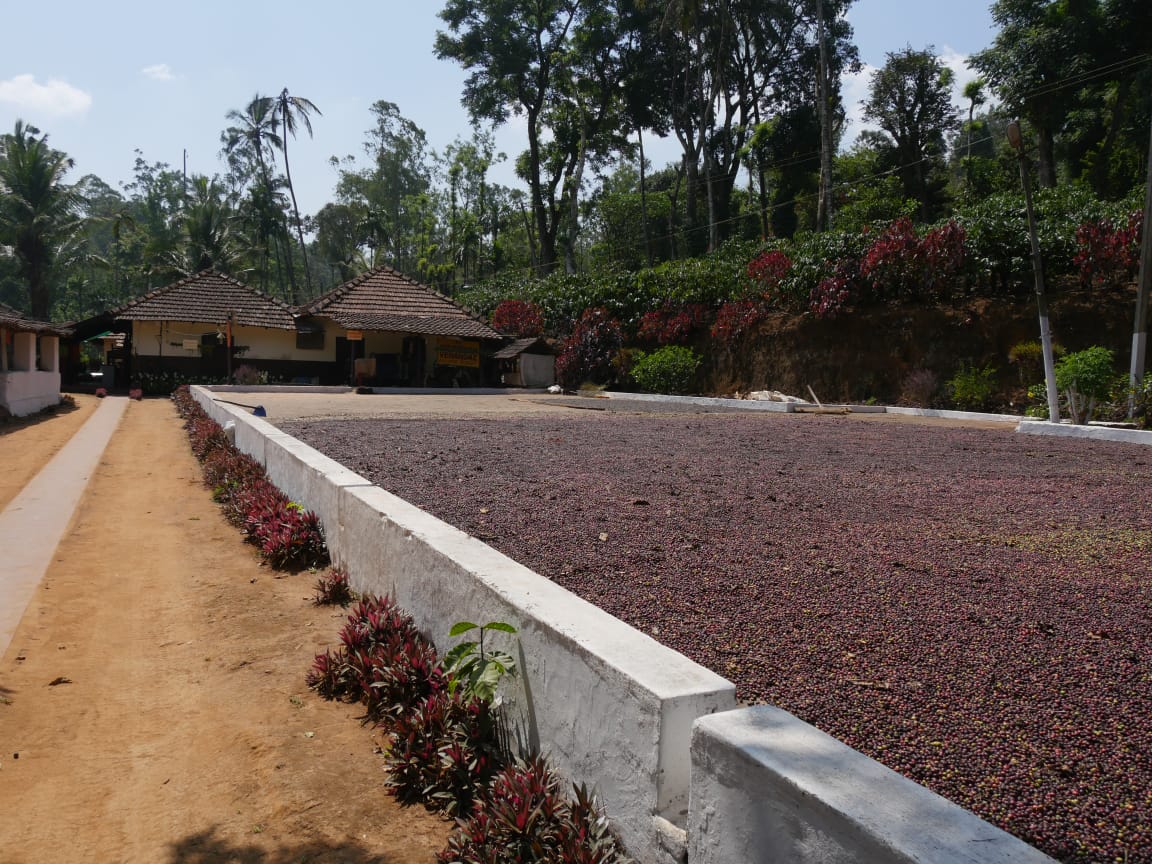 Victorian Verandaz Home Stays Association