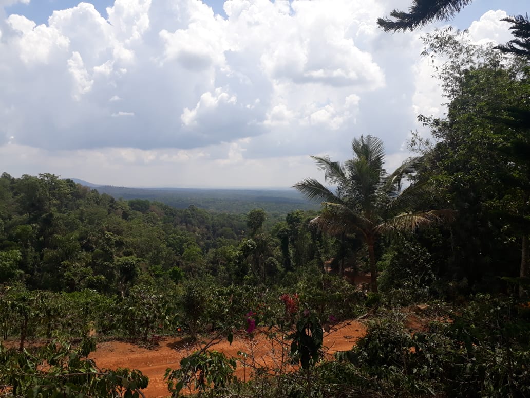 Victorian Verandaz Home Stays Association