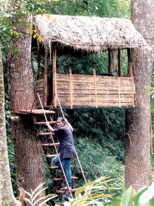 Forest Flower Homestays Association