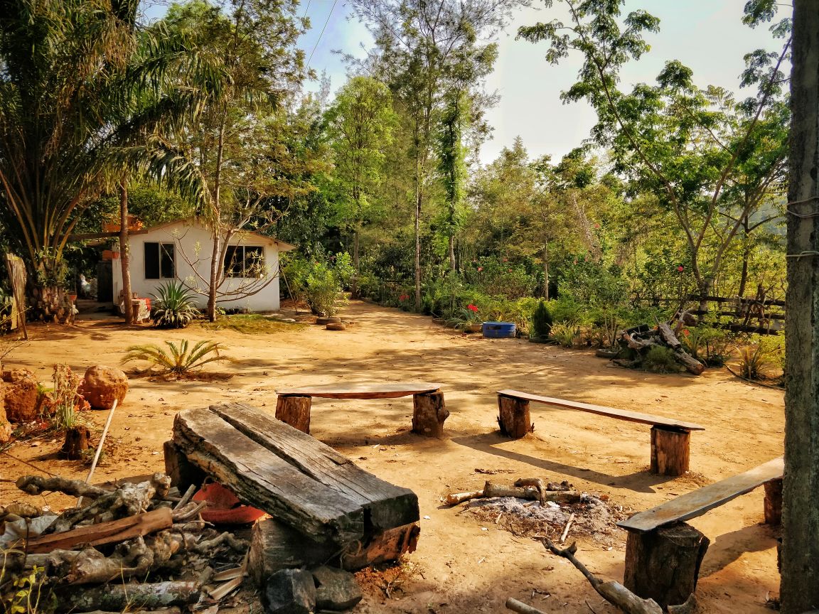 Island Homestay Home Stays Association